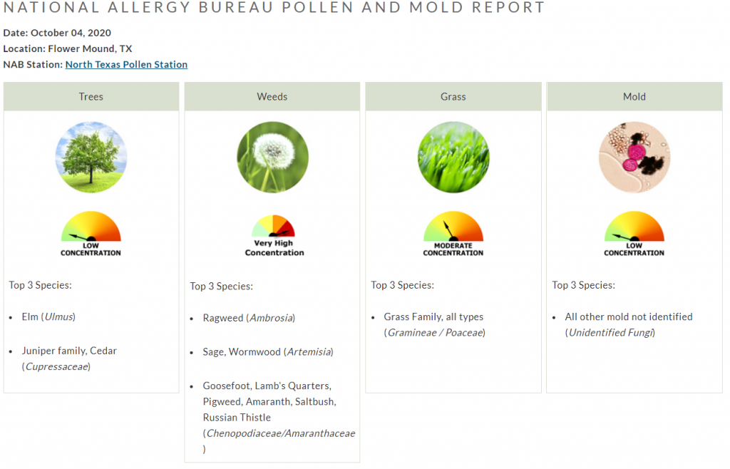 Pollen count alert october 4 2020 family allergy asthma care