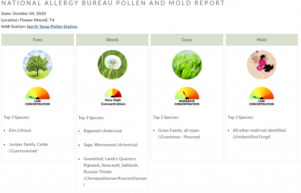 pollen count north texas october 4 ragweed weeds