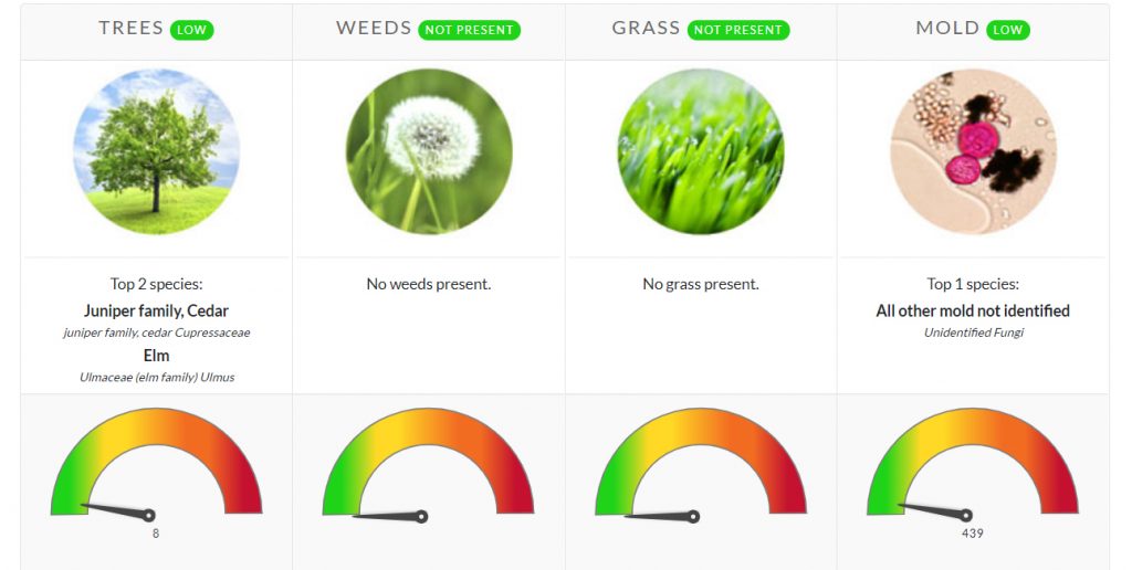 pollen count north texas