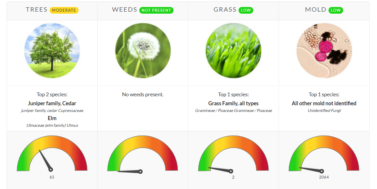 Pollen Count February 22, 2021 Family Allergy & Asthma Care