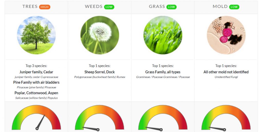 Pollen count march 12 2021 family allergy asthma care
