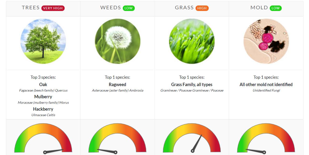 Pollen Count March 28, 2021 Family Allergy & Asthma Care