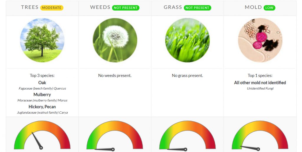 pollen count allergies allergy asthma north texas