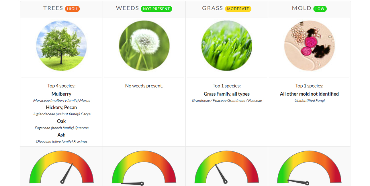 Pollen Count May 5, 2021 Family Allergy & Asthma Care