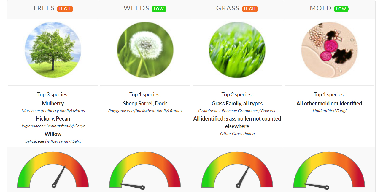 Pollen Count May 10, 2021 Family Allergy & Asthma Care