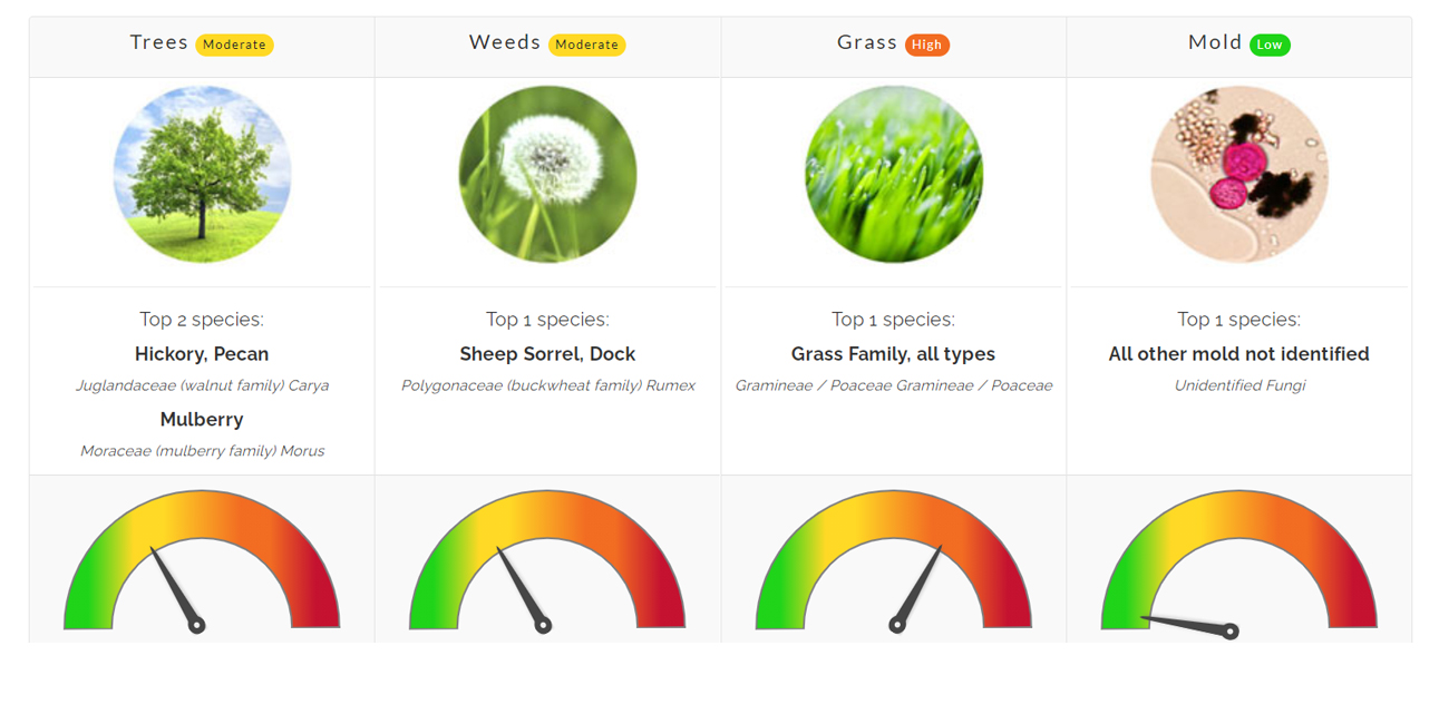 Pollen Count May 14, 2021 Family Allergy & Asthma Care