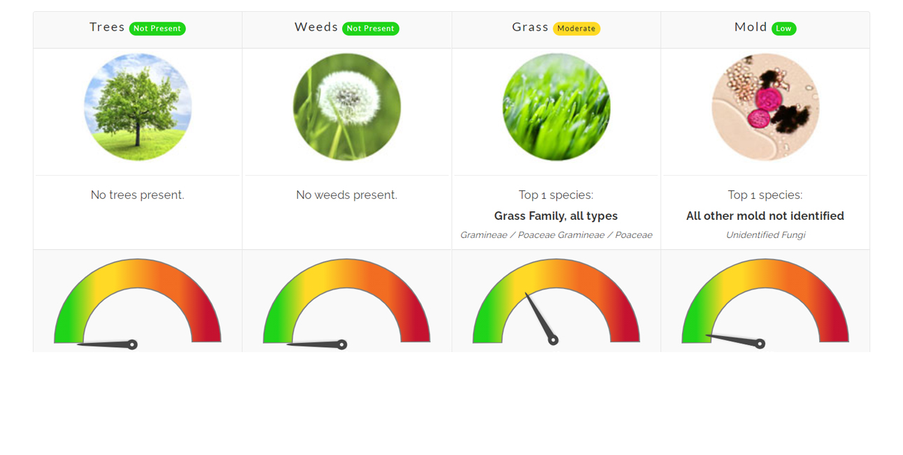 Pollen Count June 11, 2021 Family Allergy & Asthma Care