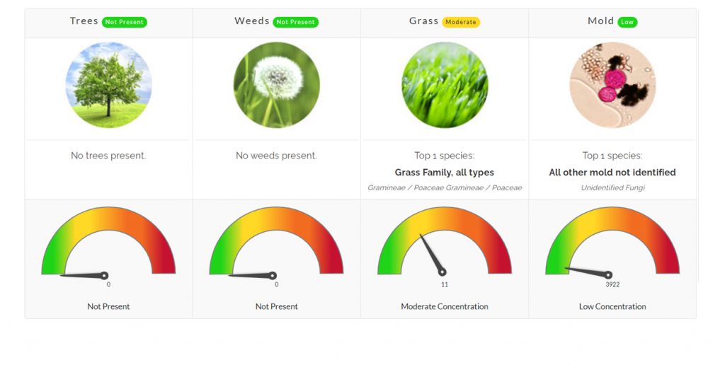 pollen count north texas allergies asthma allergy trees weeds grass mold