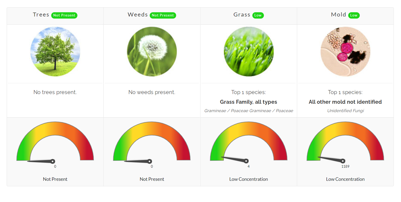 Pollen Count June 23, 2021 Family Allergy & Asthma Care