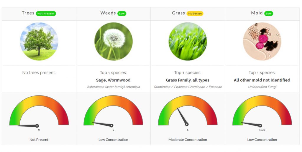 Pollen Count July 16 2021 Family Allergy Asthma Care