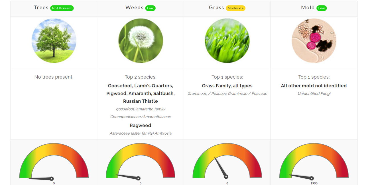 Pollen Count August 9, 2021 Family Allergy & Asthma Care