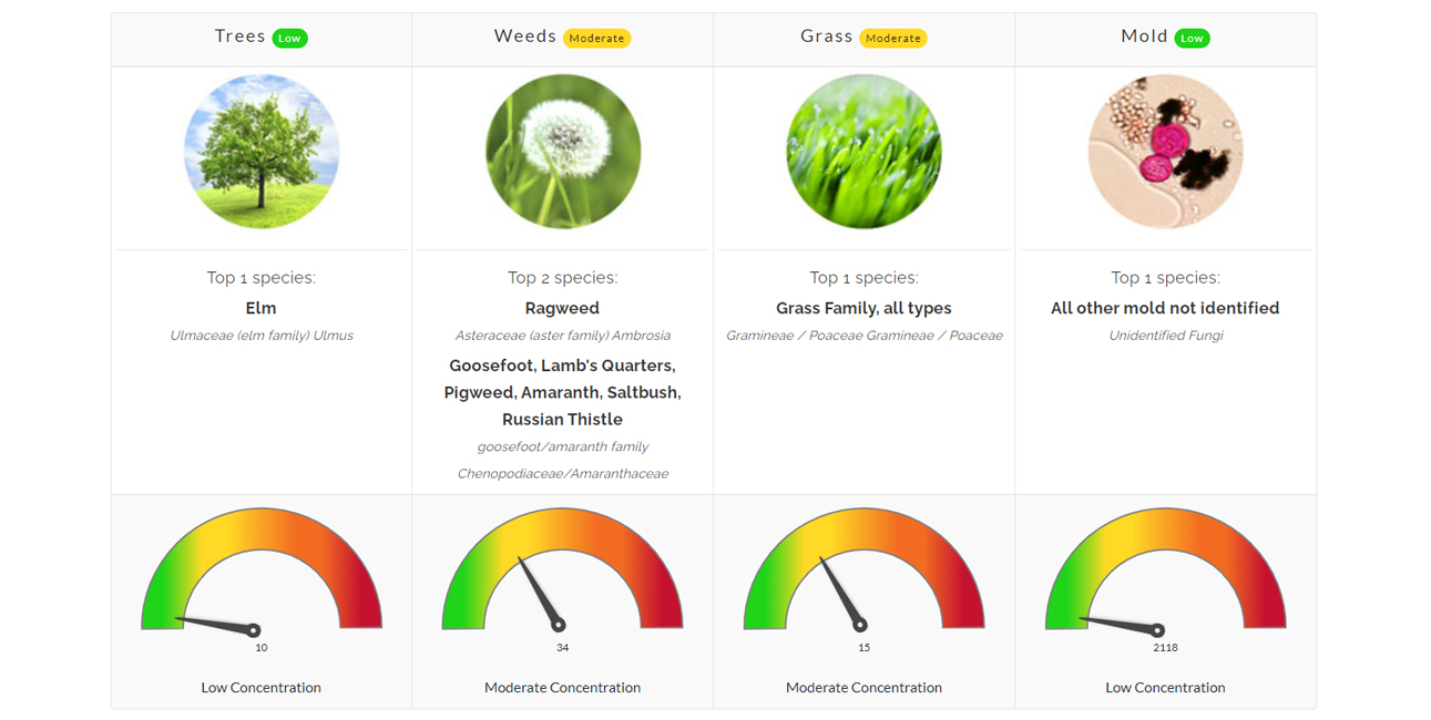 Pollen Count August 30, 2021 Family Allergy & Asthma Care
