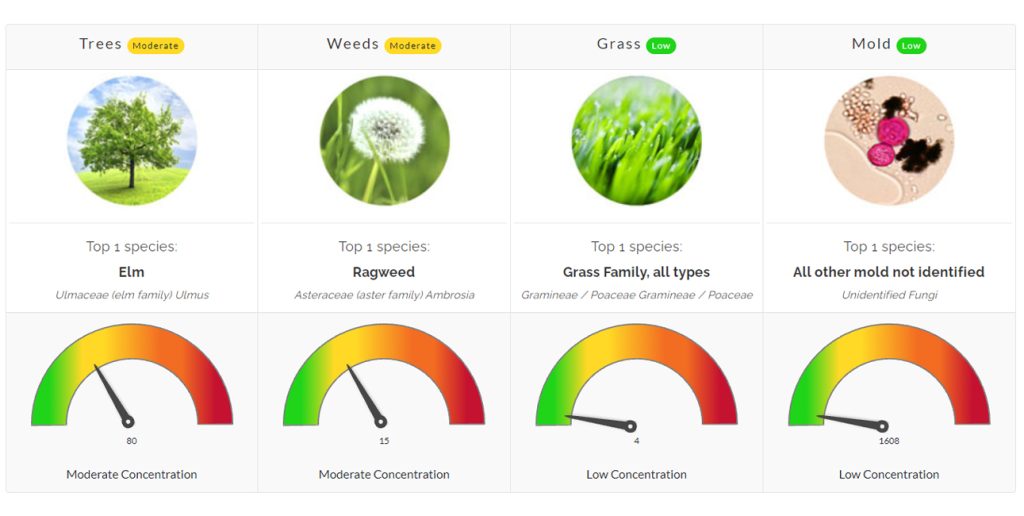 Pollen Count October 18, 2021 Family Allergy & Asthma Care