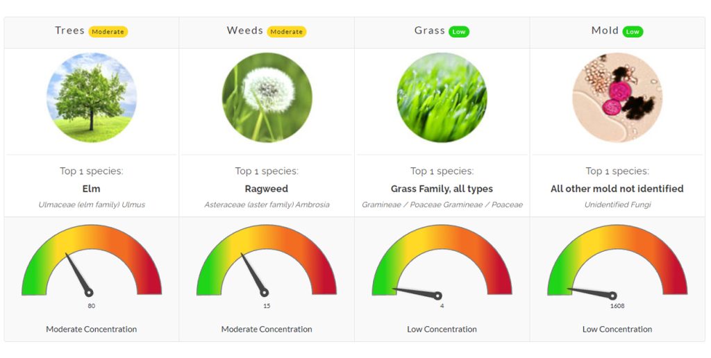 POLLEN COUNT ALERT: There are MODERATE concentrations of Weeds (Ragweed) and Trees (Elm). LOW concentrations of Grass and Mold.