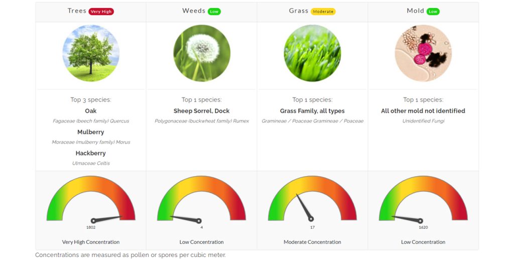 Tree Pollen Alert April 11, 2022 Family Allergy & Asthma Care