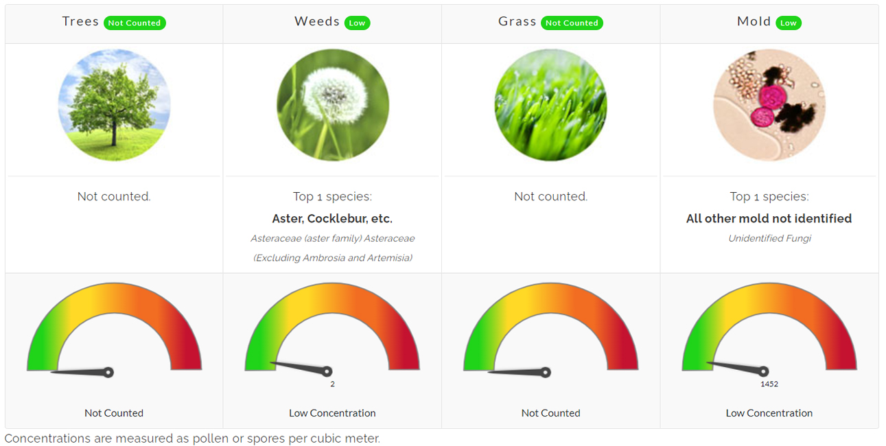 Pollen Count July 13, 2022 Family Allergy & Asthma Care