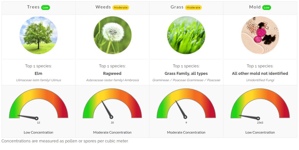 pollen count north texas allergies asthma allergy allergist