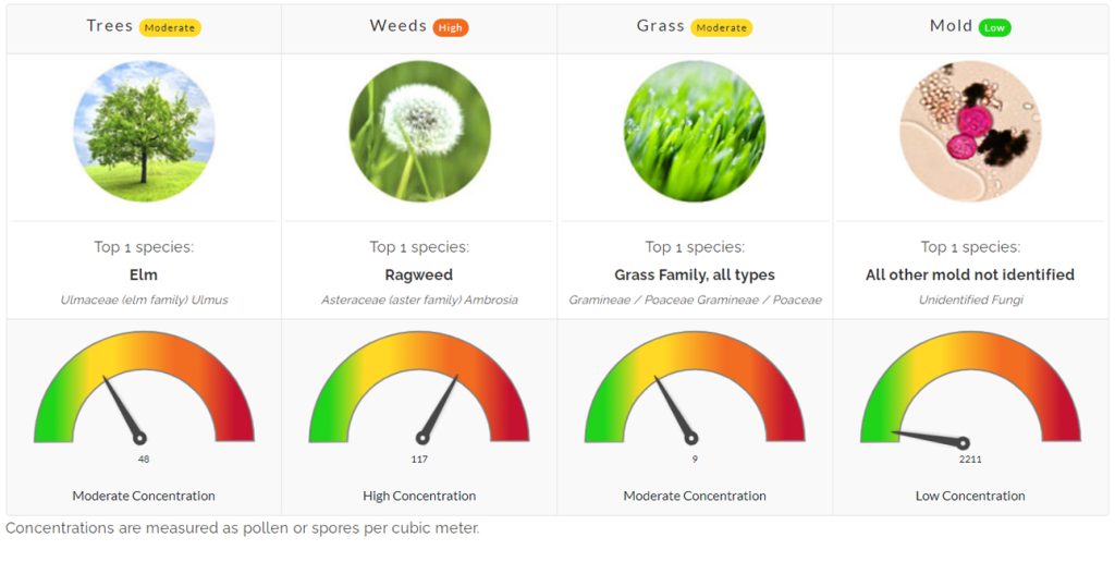 pollen count update texas flower mound denton