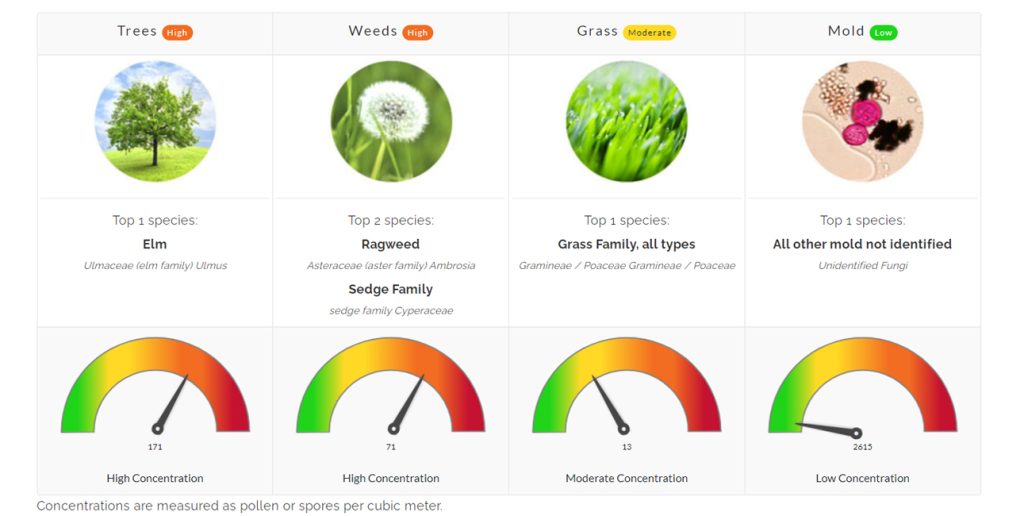 pollen count north texas allergy asthma