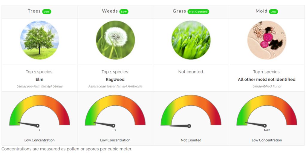 pollen count allergist allergies allergy asthma texas