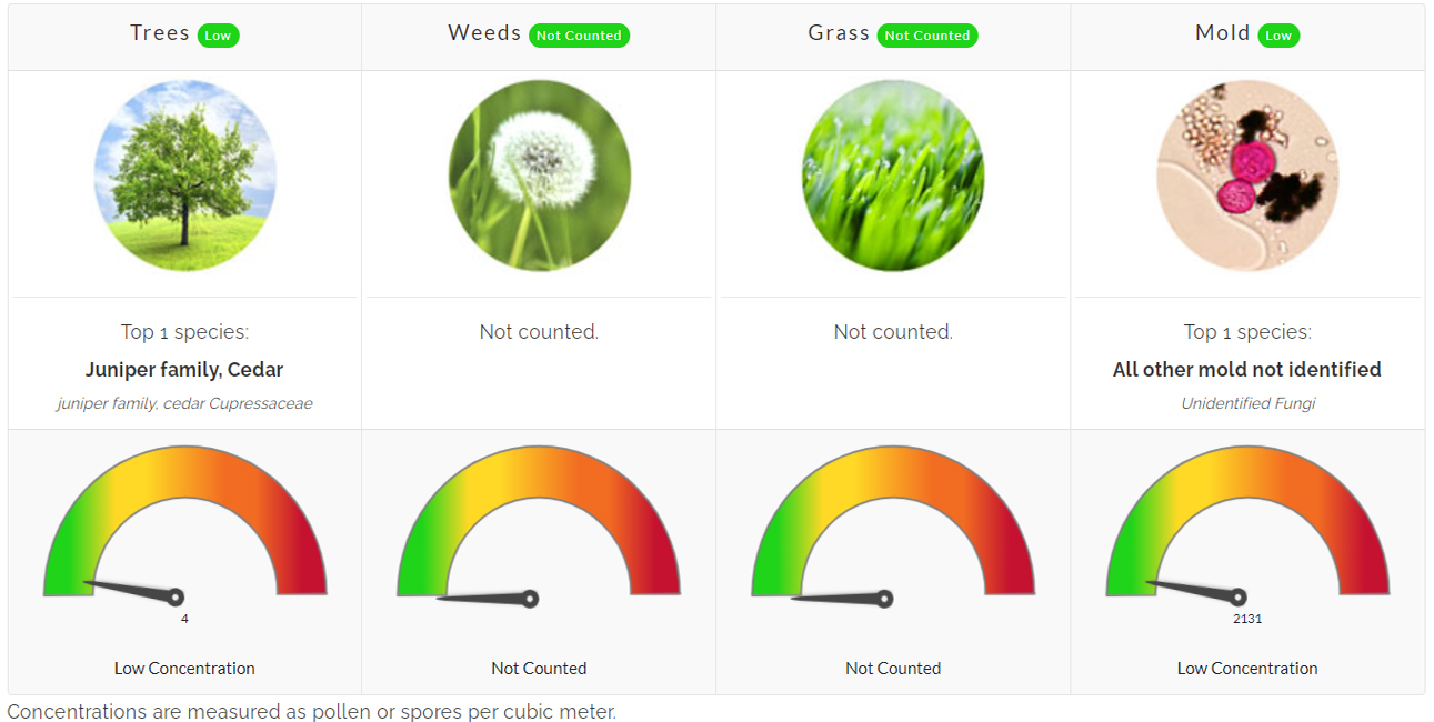 Pollen Count December 16, 2022 Family Allergy & Asthma Care