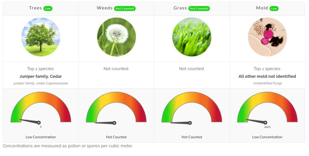 pollen count north texas allergies asthma allergy allergist