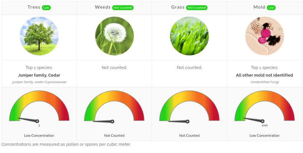 pollen count allergies allergy asthma north texas flower mound denton