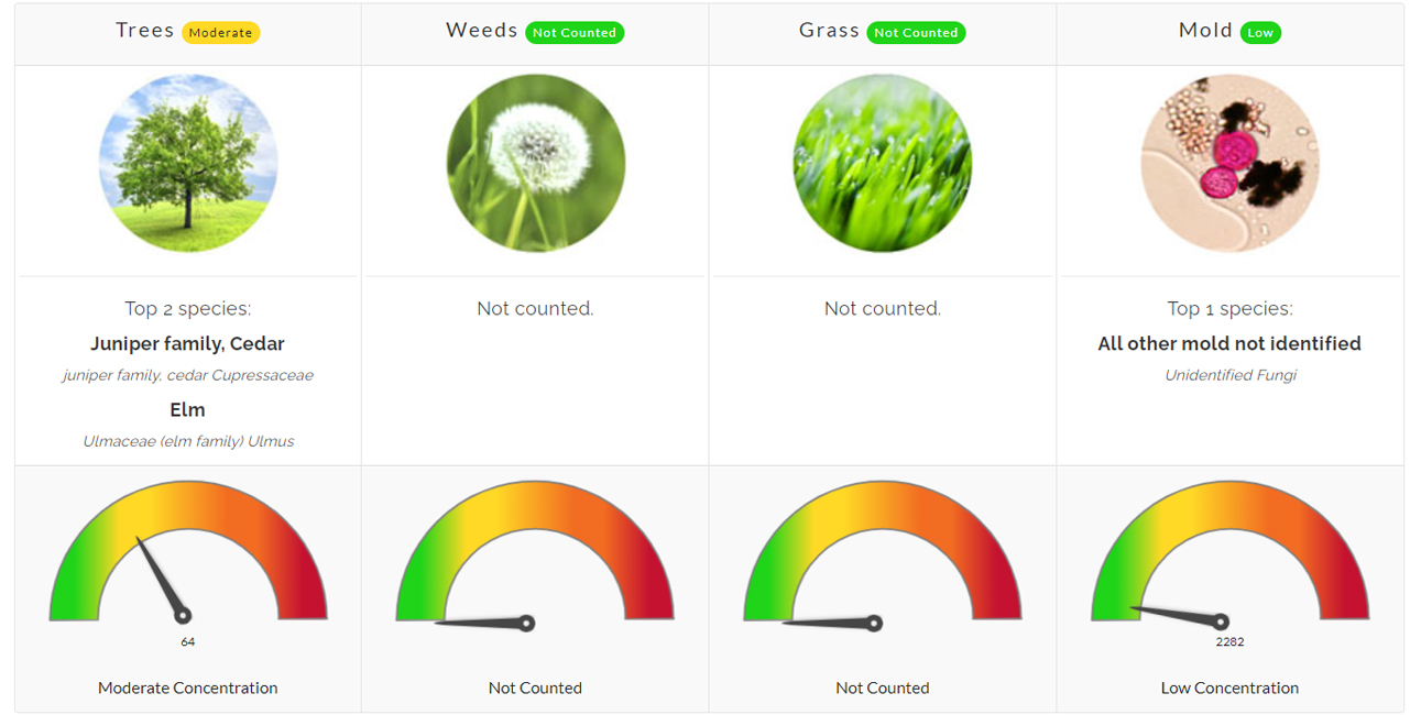Pollen Count February 5, 2023 Family Allergy & Asthma Care