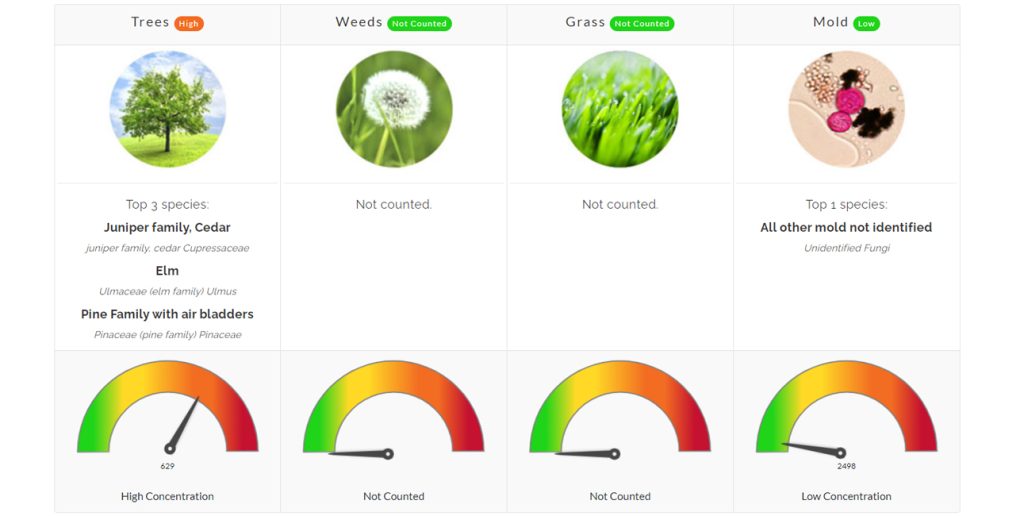 pollen count allergies asthma north texas flower mound denton