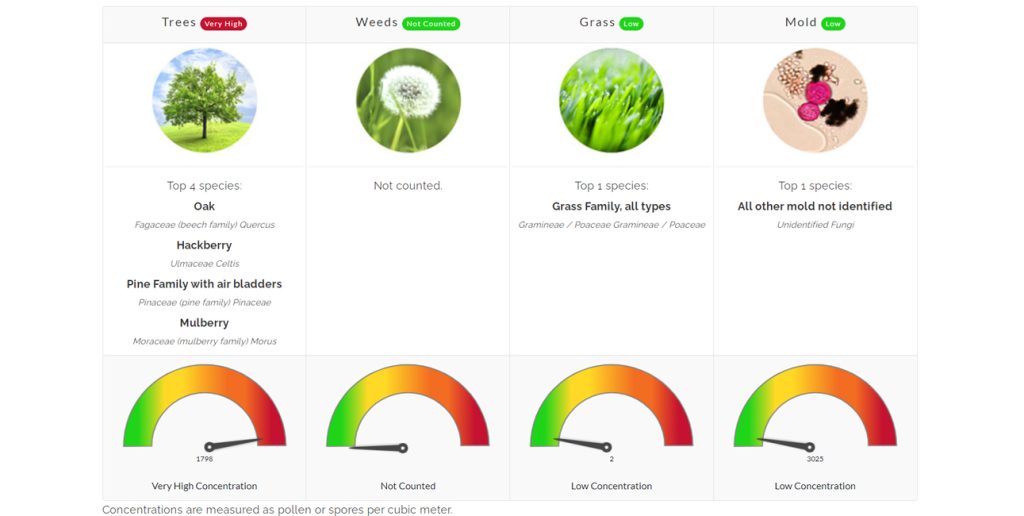 allergy allergist food asthma north texas pollen count