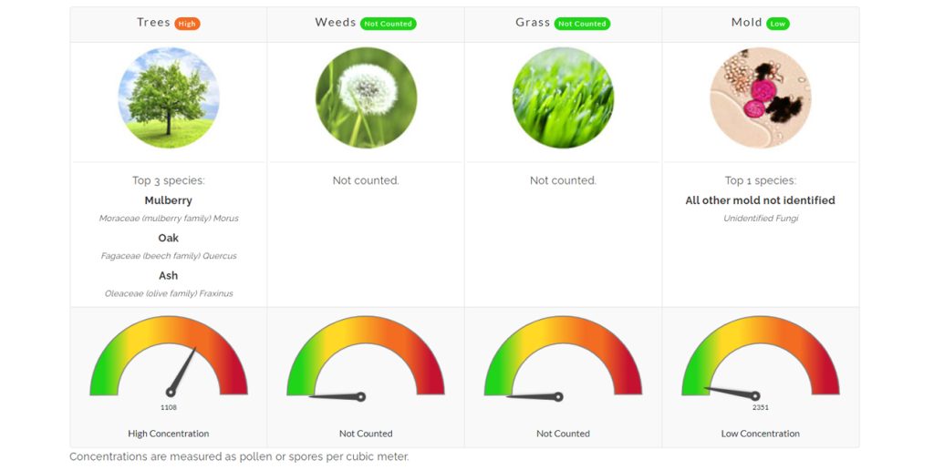 pollen count north texas allergies allergist