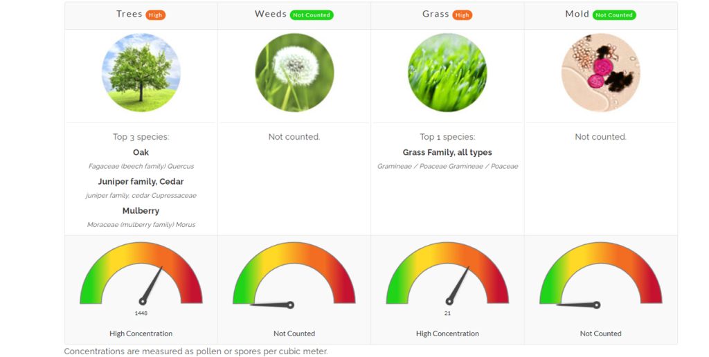 pollen count north texas allergist allergies