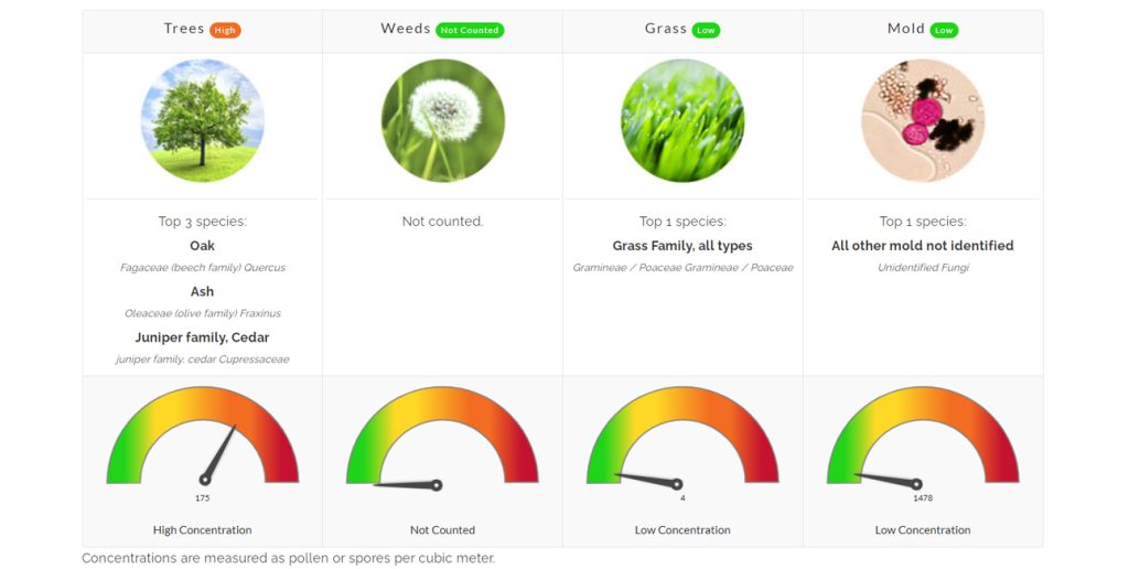 pollen count north texas allergies allergy asthma allergist