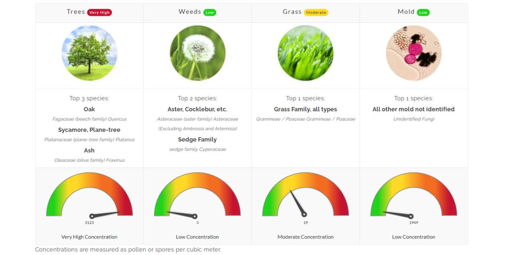 allergies asthma pollen count north texas flower mound denton