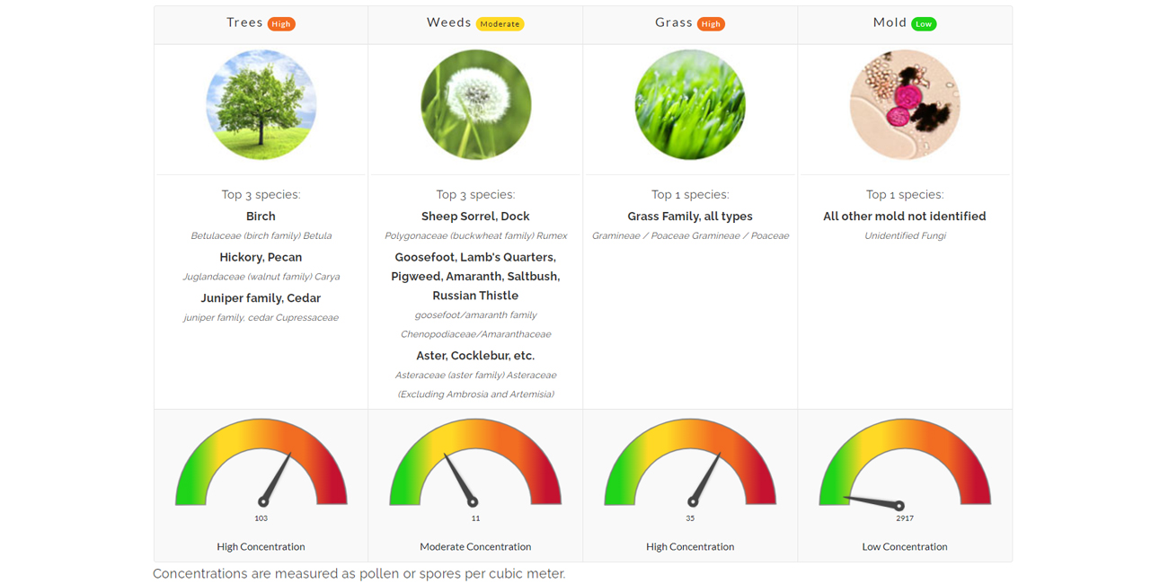 allergies allergy asthma north texas