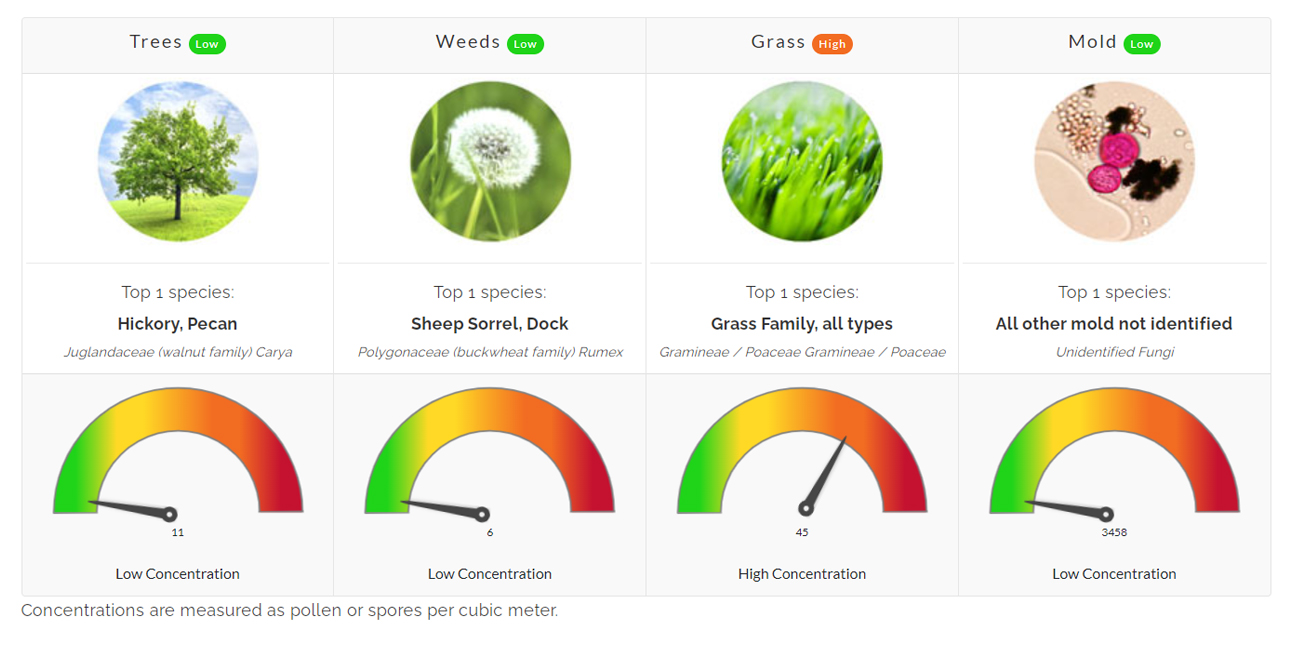 allergies asthma allergist pollen count texas flower mound denton