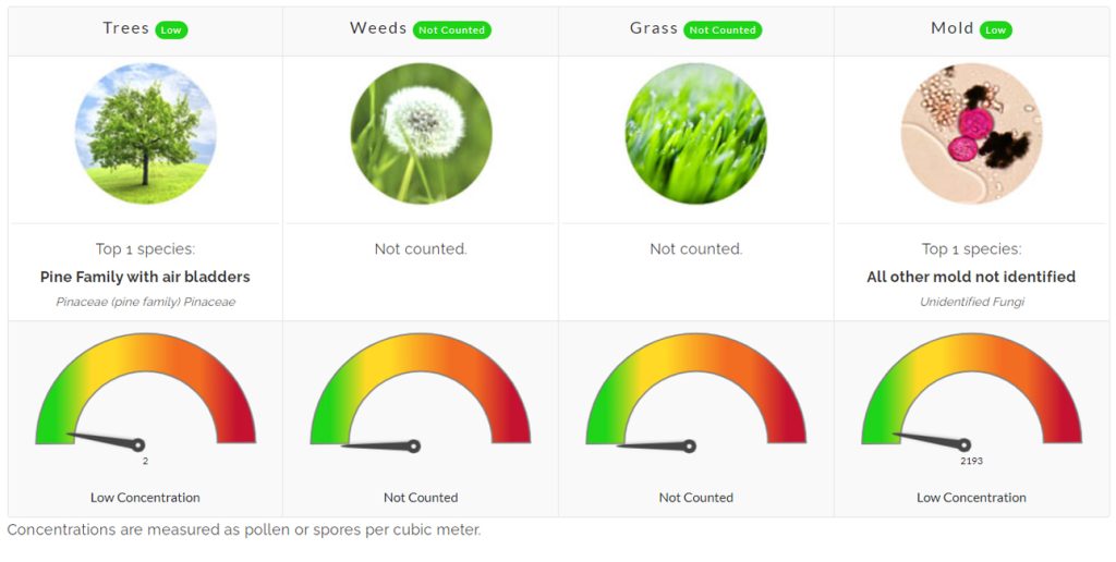 POLLEN COUNT UPDATE: There are LOW concentrations of Trees (Pine Family with air bladders) and Mold. Weeds and Mold are not present.