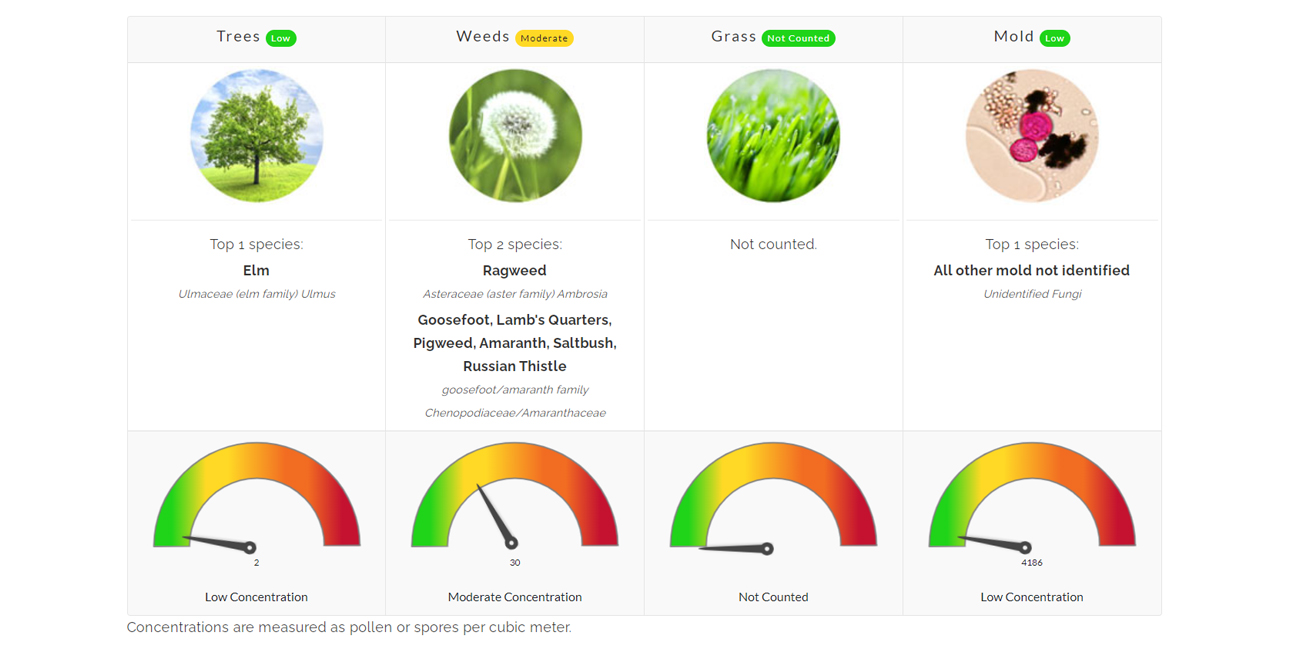 pollen count north texas allergy asthma allergist