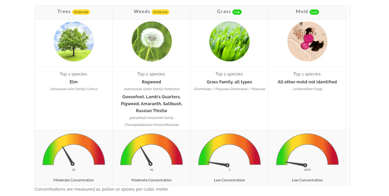 pollen count north texas allergy allergies asthma