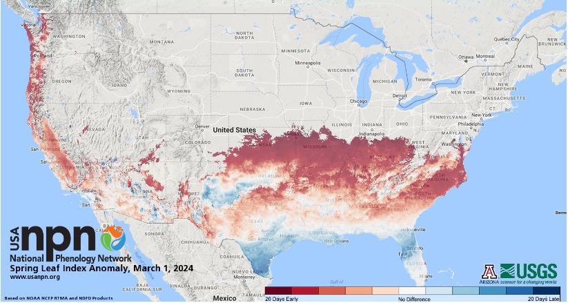 This map depicts where springtime biological activity began earlier than average (red tones) and later than average (blue tones) this year. We can expect an earlier start to the pollen season in regions experiencing an earlier than normal start to spring. For more information, visit the USA-NPN Status of Spring page